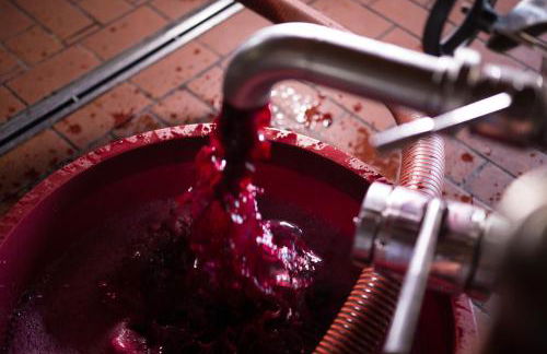 Relais I Dolci Grappoli - Foto 105