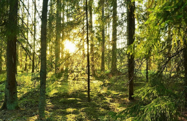 5 Person Holiday Home in Bredared-by Traum - Photo 24