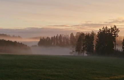 Ferienhaus Freilingen 74 - Photo 30
