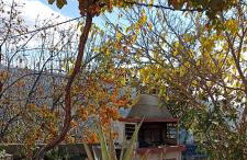 Rose Garden Cottage - Foto 14