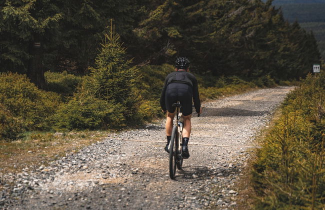 Forest Park Resort & SPA - Foto 29