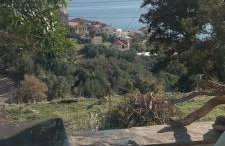 Vounios house - Photo 33