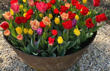 The Coachman’s House - Foto 22