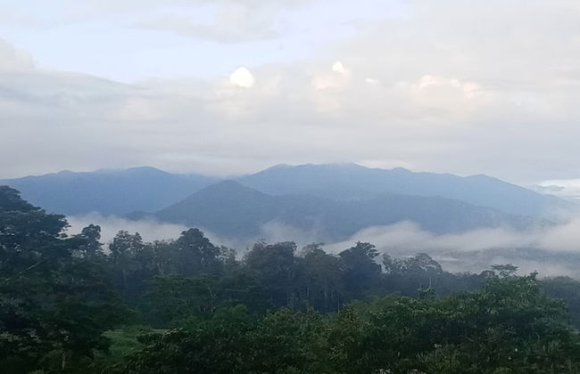 Bribri Ù sule - Foto 13