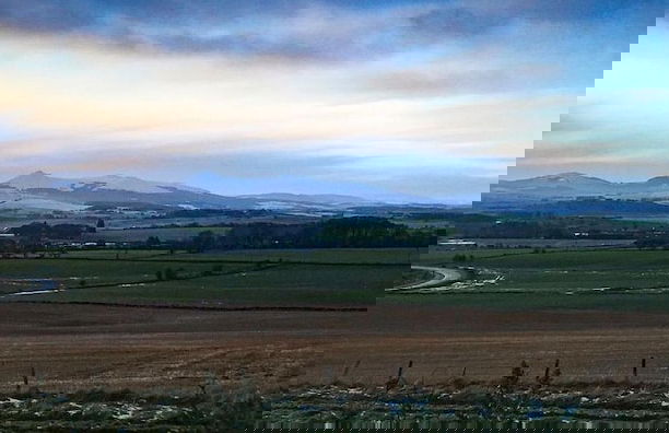 Morris Gardens Apartments - Foto 6