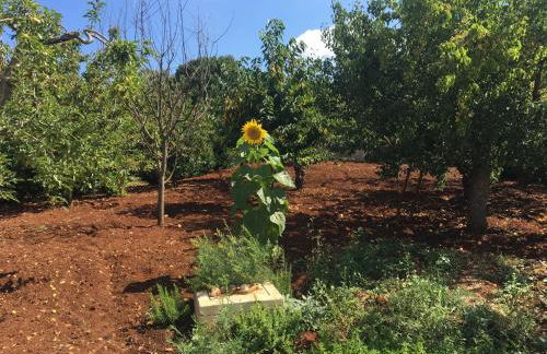 La casa di Colino e Annina - Foto 28