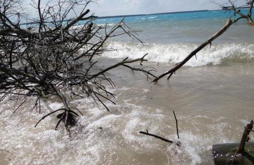 Villa "Schöni" - Foto 33