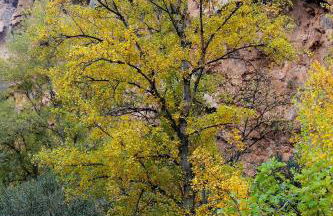 El Campillo, casa de campo cerca de la playa - Foto 62