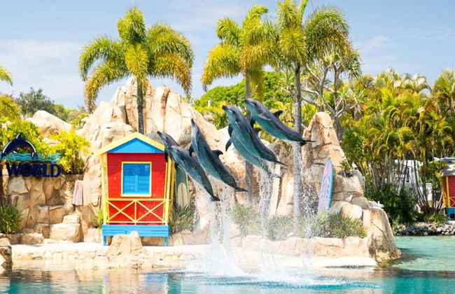 Gold Coast Hop On Hop Off All Day Ferry Pass Gold Coast Hop On Hop Off All Day Fähre Pass - Foto 4