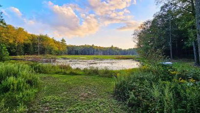 Serene Rustic Retreat with Lake - Photo 2