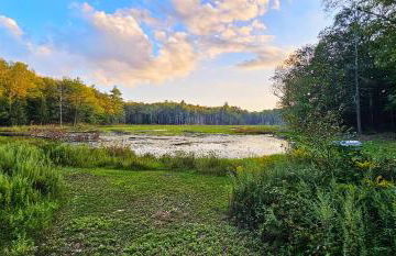 Serene Rustic Retreat with Lake - Foto 2