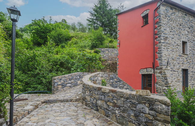 Ciliegiolo - Foto 26