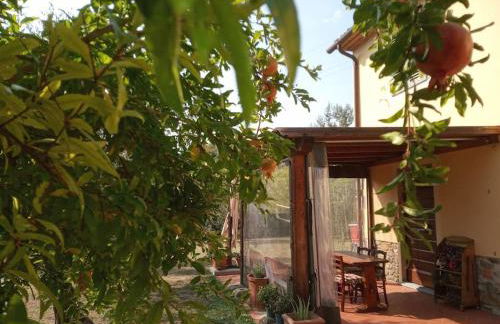 Appartamento Oliver - Foto 7