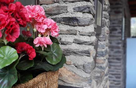 Alojamiento Rural Cuatro Estaciones - Foto 4