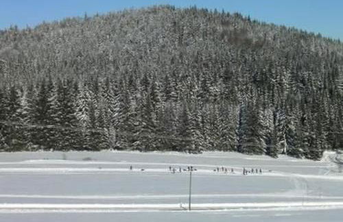 Holiday Home zur Linde by Interhome - Foto 22