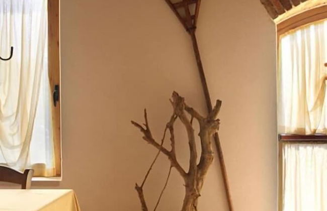 Agriturismo All' Albaro - Foto 45