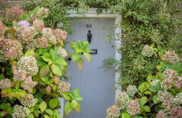 Nightingale Cottage, near Aldeburgh and Orford - Foto 46