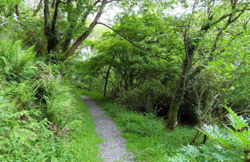 Kingfisher - Foto 26