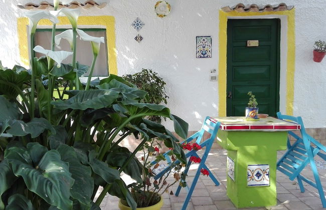 Zagara di Sicilia - Foto 52