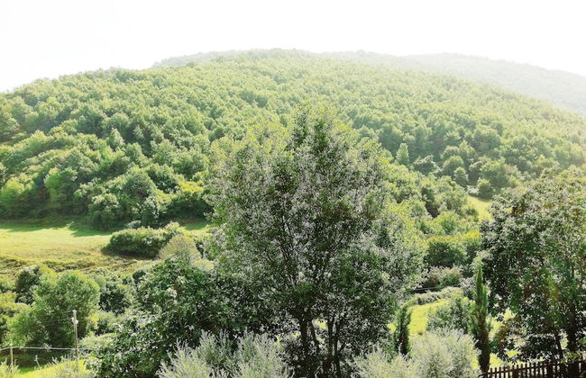 Agriturismo La Rocca dei Briganti - Foto 32