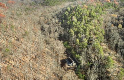 River Access Loft Deck WiFI & Pet Friendly - Foto 47