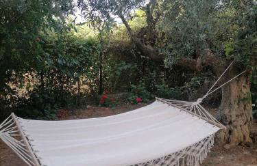 Studio P & P Polylimnio Waterfalls - Foto 1