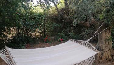 Studio P & P Polylimnio Waterfalls - Foto 1