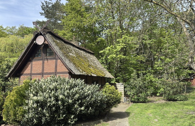 Ferienhaus in Kirchdorf mit Reiterhof - Foto 14
