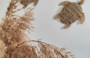 Noelia House Ammouliani - Photo 8