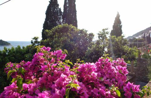 Villa Matilda - Photo 16