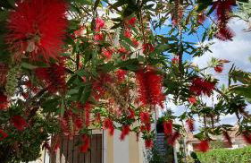 Very Very Vera Beach - Freshly Renovated - Foto 30