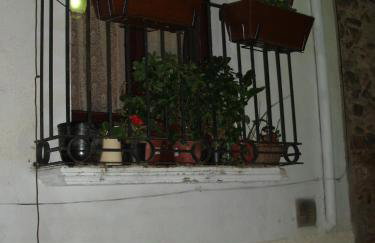 La Llicorella - Foto 37