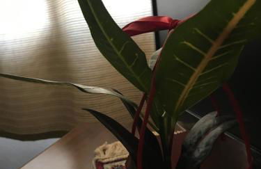 Il Pozzo Country House - Foto 31