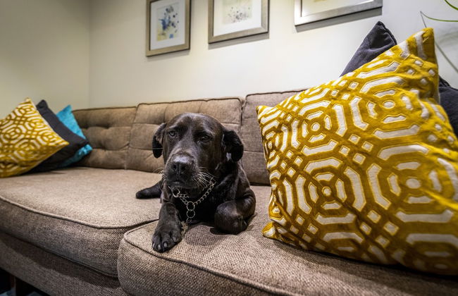 Casa Malí by Dominion - Foto 17