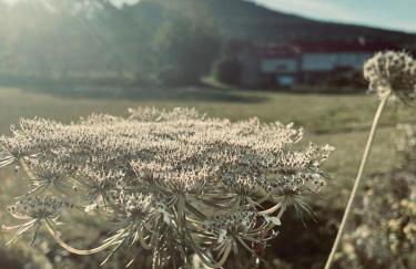 La Pierre des Volcans Chaleureux Calme Champêtre - Foto 29