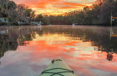 Charming 1940s Daybook Cottage on the Florida Hidden Coast - Foto 32