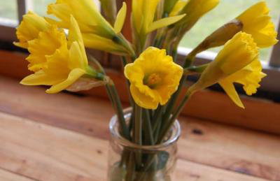 Cottage in North Somerset - Foto 16