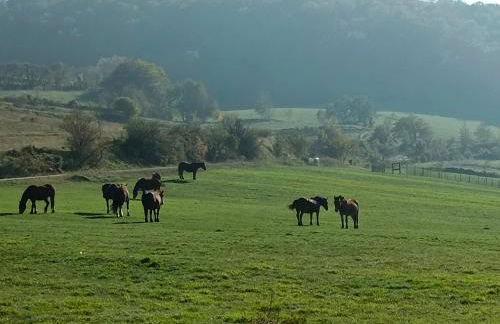 Degli Alessandri house - Foto 47