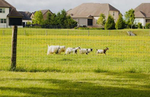 Hidden Gem Farm Homestead Sleeps 12 &Fresh Produce - Photo 37