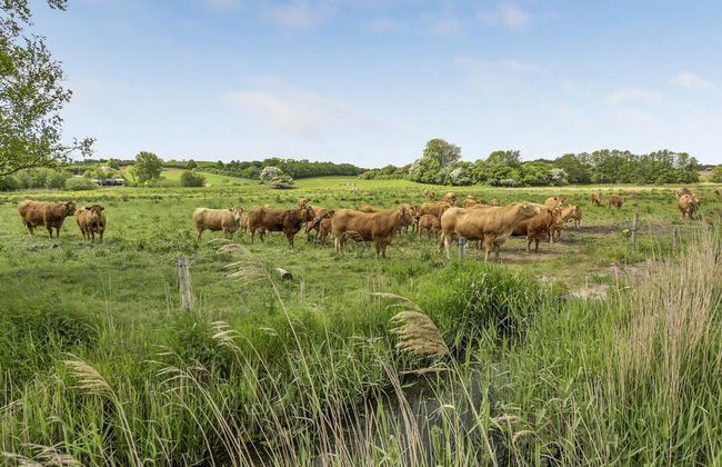 3 bedroom House in Broager with terrace and sauna - Photo 5