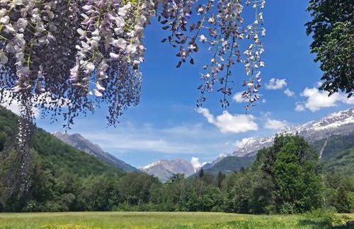 Le Chat Perché - Appartements 3 étoiles spacieux et chaleureux à Allemond - Foto 30
