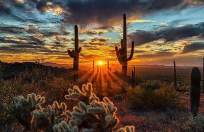 Boulder Apache Junction - Foto 67