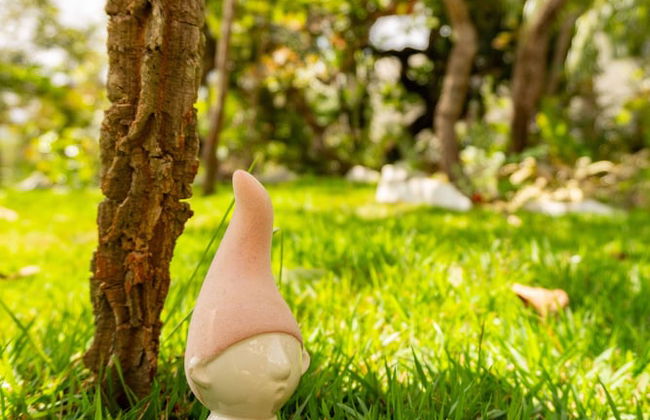 Lofts Lobo Guara - Foto 31