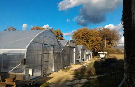 AGRITURISMO " LE SERRE" - Foto 41