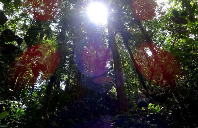 San Cipriano Nature Reserve Day Trip - Foto 7