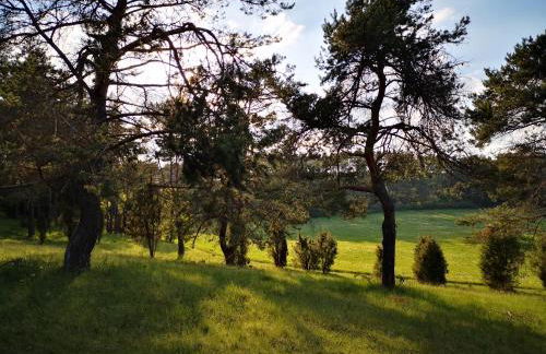 Ferienwohnung Schmahl - Foto 21