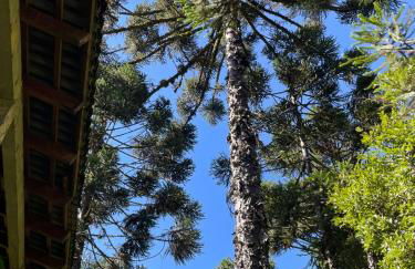 Memora Guesthouse Bateias - Casa Inteira e quartos em chácara - Photo 65