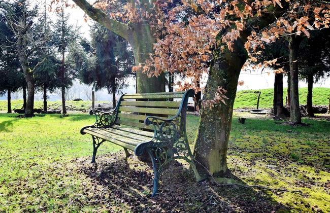 Cozy Escape in Rendeux - Photo 30