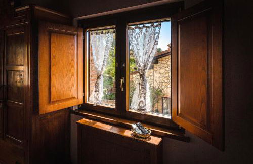 Garden Cactus - Foto 75