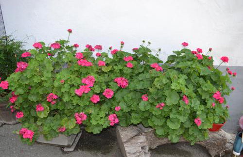 Gruberhof - Photo 23